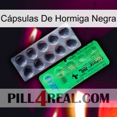 Cápsulas De Hormiga Negra new04